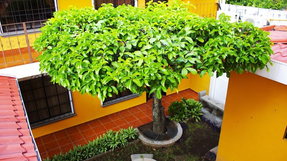 Hotel Villa Terra San Salvador Extérieur photo